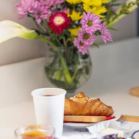 Elba Vibe Smart مارينا دي كامبو